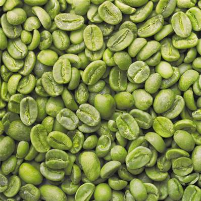 Organic Green Coffee Seed PE <2.5% Caffeine WS