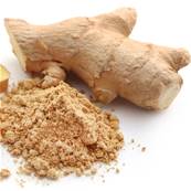 Organic Ginger Rhizome PE CWS