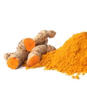 Organic Turmeric Rhizome Powder 300µm Heat Treated 2% Curcumin